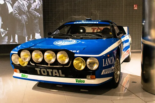 Casino Dogs Fortune App Android/iOS